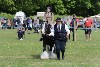 thornton-le-dale-gala showclass7acharity25-5-20016